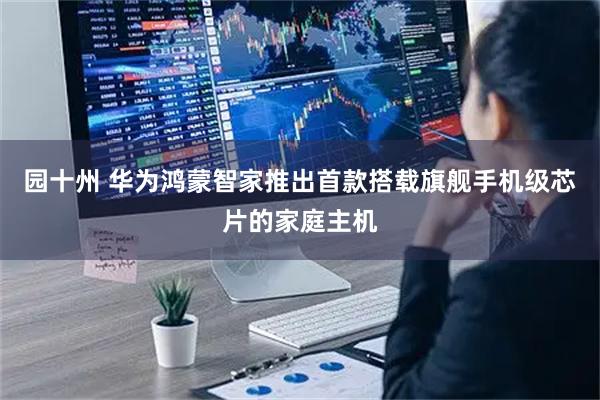 园十州 华为鸿蒙智家推出首款搭载旗舰手机级芯片的家庭主机